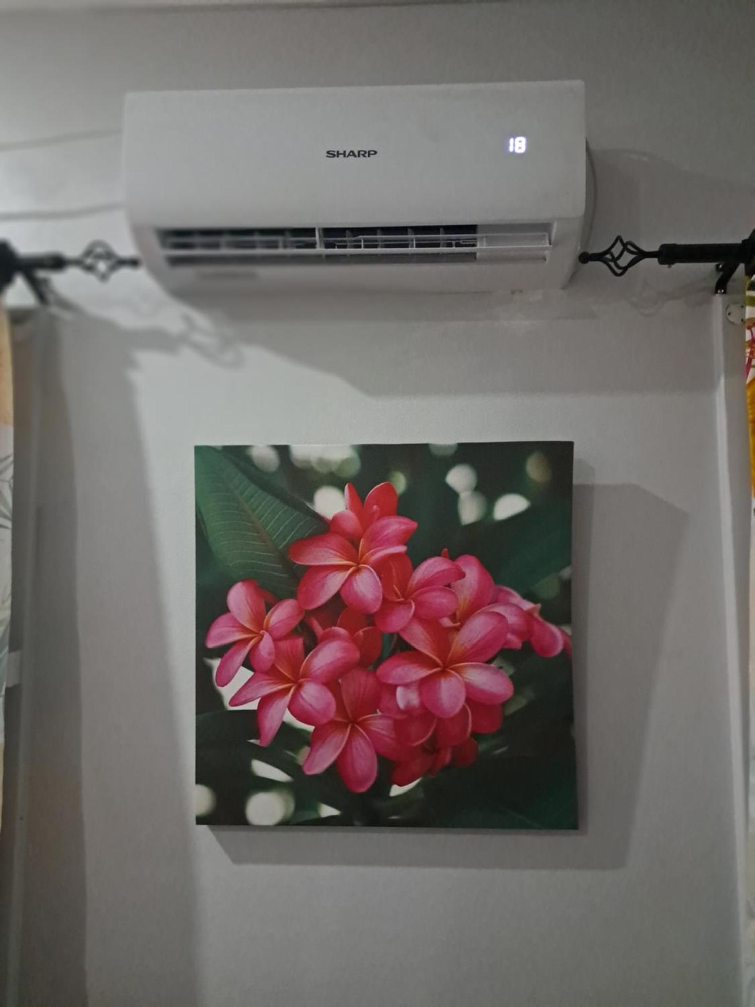 수바 Tropical Almond Haven B&B 외부 사진